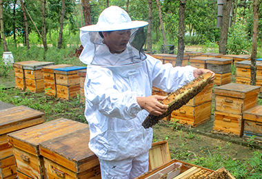 自有基地，建立蜜源可追溯化體系